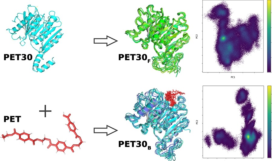 New Paper - Biological Sciences: Structural Bioinformatics